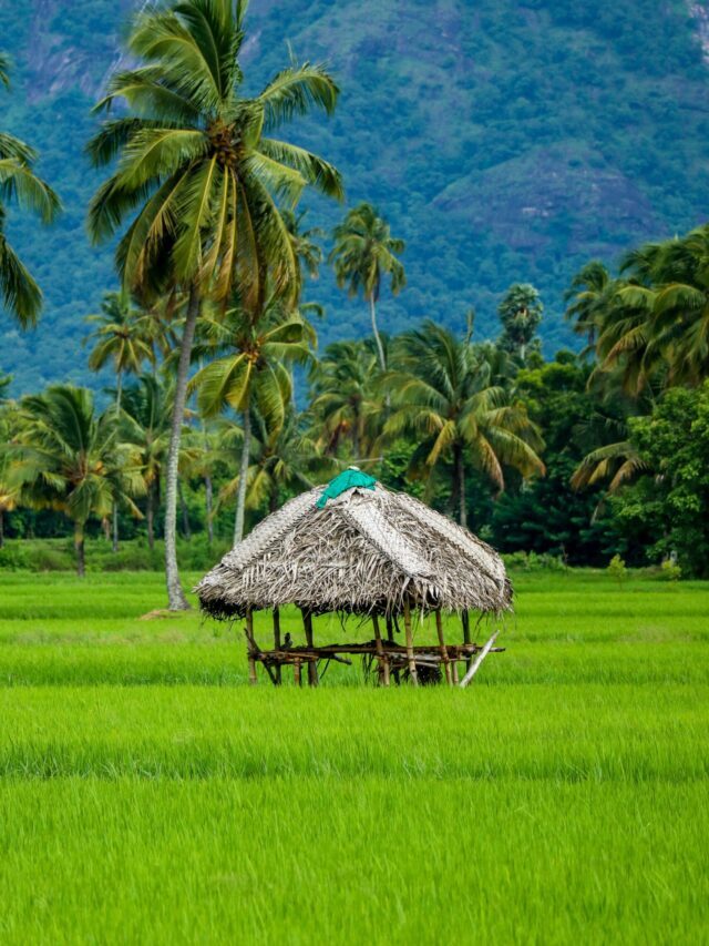 കേരളത്തിൽ സന്ദർശിക്കാൻ പറ്റിയ 7 മികച്ച സ്ഥലങ്ങൾ