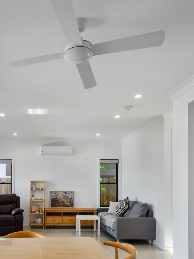 ceiling fan