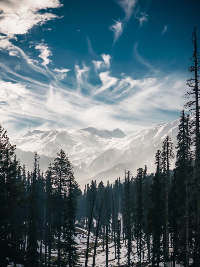 kashmir