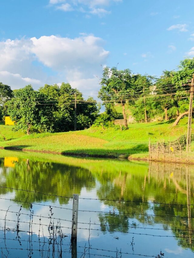 Dadra and Nagar Haveli