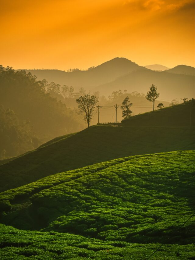munnar 1
